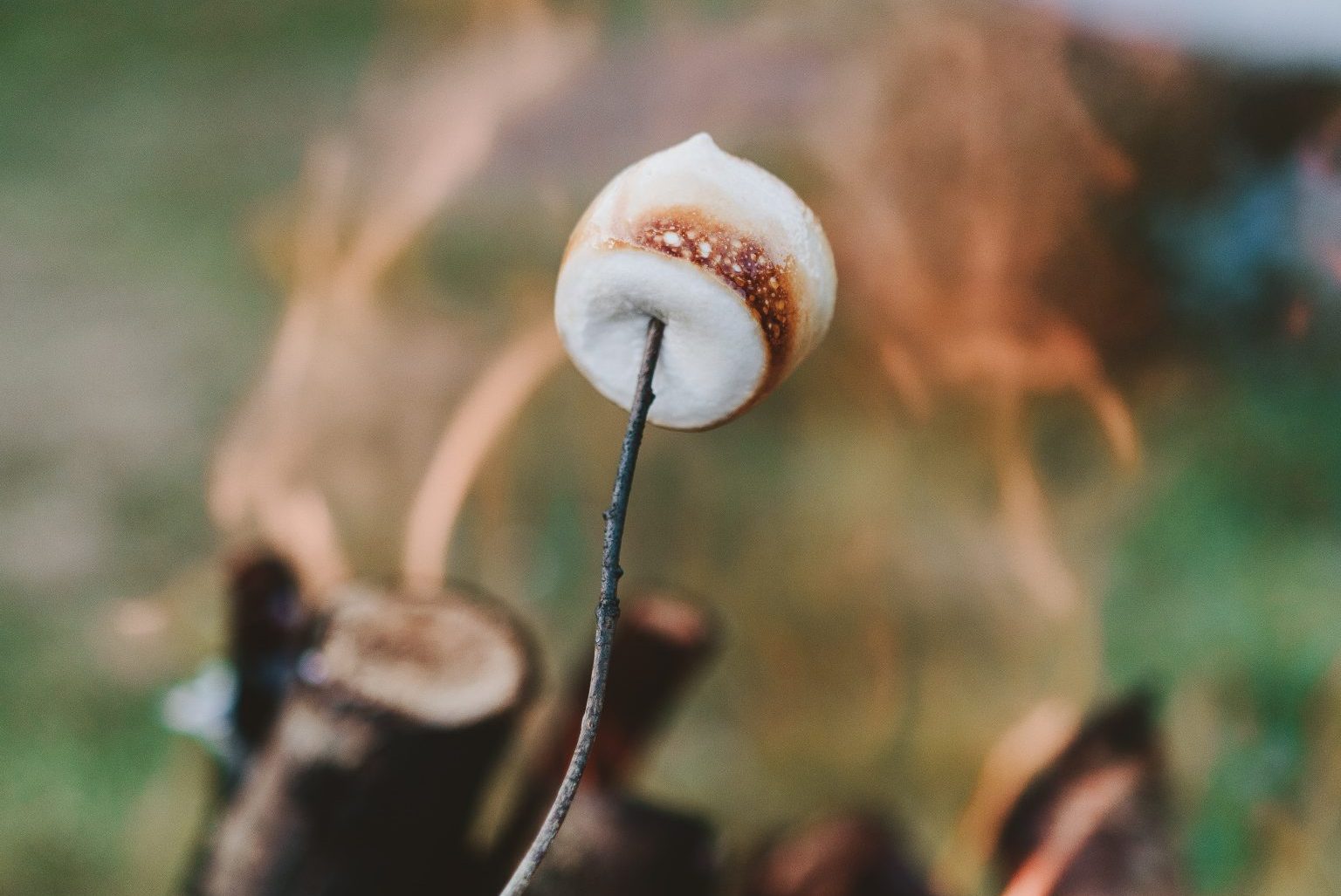 The Science of Roasting the Perfect Marshmallow