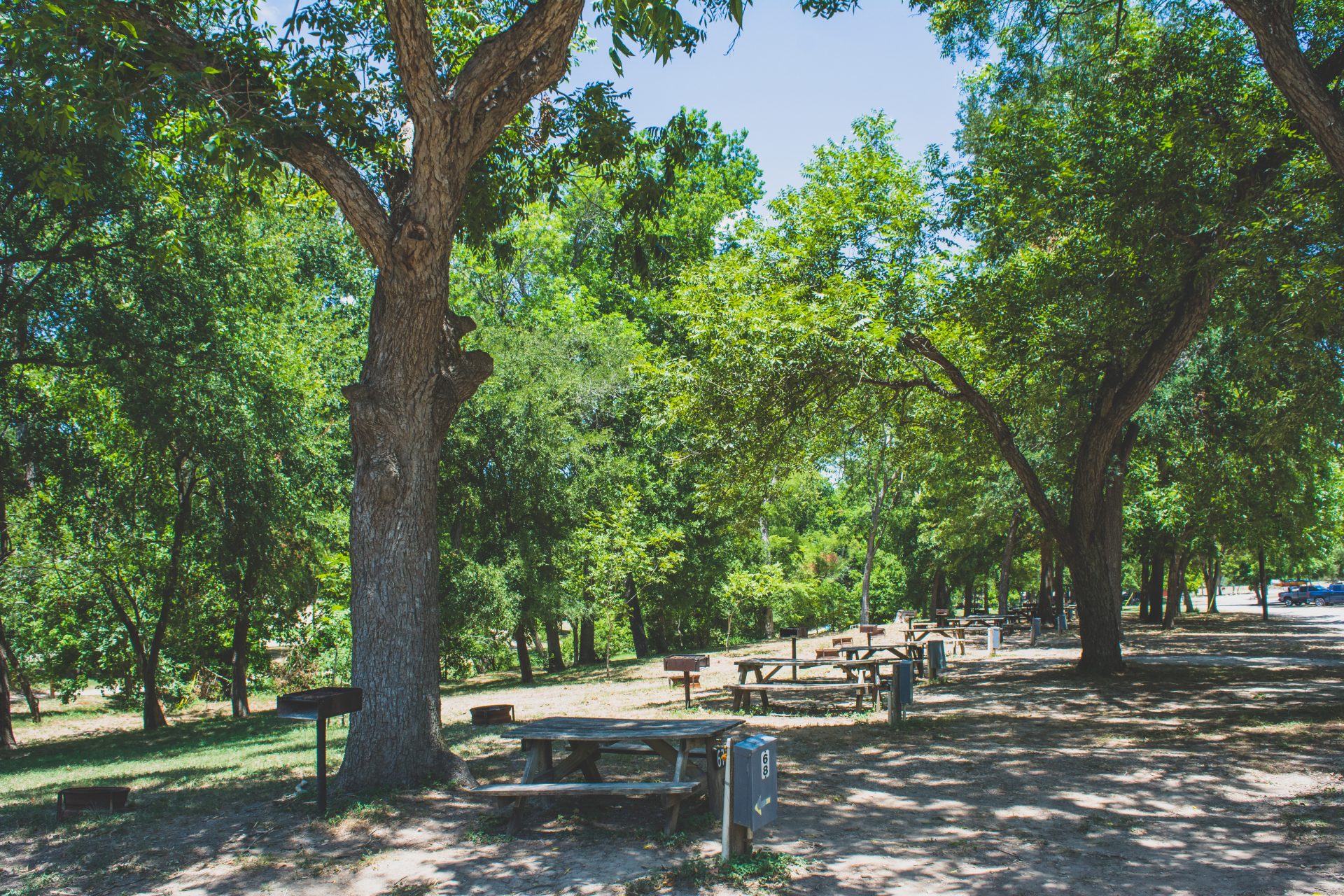 The Benefits of Camping in the Spring in Texas